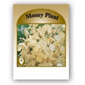 Promotional Custom Seed Packet- Money Plant